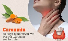 Tác dụng curcumin trong phòng và đẩy lùi các bệnh tuyến giáp