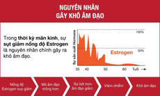 Viên uống bổ sung Estrogen tự nhiên phù hợp hiện nay