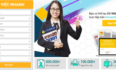 Sai lầm khi tìm việc làm trực tuyến và giải pháp tại timviec365