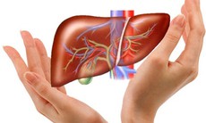 "Dưỡng gan là dưỡng mệnh"
