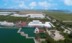 Công ty Bò sữa Việt Nam thuộc vinamilk lọt top tăng trưởng nhanh nhất Việt Nam