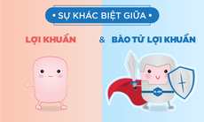 Phân biệt bào tử lợi khuẩn và lợi khuẩn?