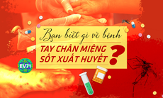 Nhận biết và phân biệt sớm bệnh sốt xuất huyết - tay chân miệng