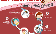 Sốt xuất huyết tăng gấp 3 lần cùng kỳ năm 2018, làm sao để phòng ngừa?