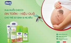 Chống muỗi cho cả gia đình nhờ "thiên địch" tự nhiên, hiệu quả bất ngờ