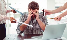 Bảo vệ gan trước tác động của stress