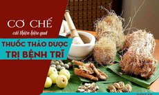 Cơ chế cải thiện bệnh trĩ hiệu quả của Thuốc thảo dược