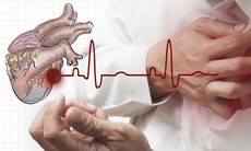 Giải pháp điều hòa huyết áp, giảm mỡ máu cho người cao tuổi bằng thảo dược
