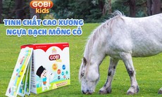 Cao xương ngựa bạch Mông Cổ và hành trình đến với đất Việt