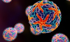 Cảnh báo gia tăng biến chứng nguy hiểm từ dịch sốt xuất huyết 2020