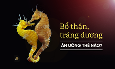 Những thực phẩm tốt cho thận nên dùng