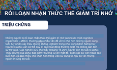 Rối loạn nhận thức thể giảm trí nhớ