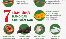 Lá gan bị xơ hóa vì nhậu nhẹt triền miên và chất độc hại như thế nào?