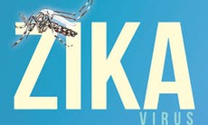  83 trường hợp có biểu hiện triệu chứng tương tự bệnh do vi rút Zika đã âm tính