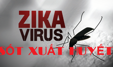 Có thể gia tăng dịch do vi rút Zika trùng với mùa dịch sốt xuất huyết 