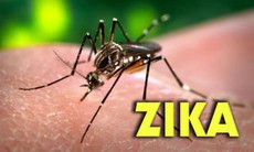 Phú Yên đã có bệnh nhân mắc vi rút Zika