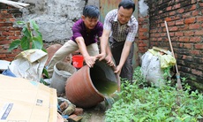 Dịch sốt xuất huyết gia tăng: Hà Nội lập đội xung kích diệt bọ gậy