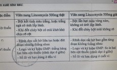 Cục Quản lý Dược yêu cầu truy tìm thuốc Lincomycin 500mg giả trên thị trường