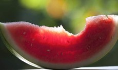 Những thực phẩm ít calo giúp duy trì vóc dáng