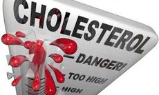Vai trò của cholesterol trong cơ thể