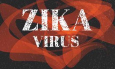 Vi-rút zika có thể khiến thai chết lưu?