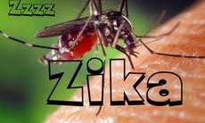 Việt Nam có đủ khả năng xét nghiệm virut Zika