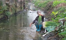 Nóng: Yêu cầu Hưng Yên kiểm tra tình trạng rửa rau trước khi bán bằng nước thải độc hại
