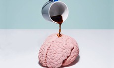 8 hiểu lầm đáng tiếc về caffein