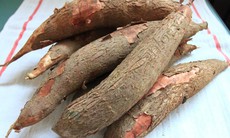 Những thực phẩm có chất độc tự nhiên - lưu lý khi chế biến