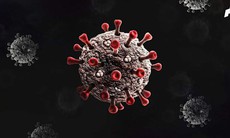 Biến thể - biến chủng virus là gì?