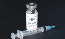 Thử nghiệm trên khỉ mang lại hy vọng về văc xin HIV