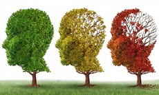 Thuốc phóng xạ mới giúp chẩn đoán bệnh Alzheimer