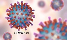 COVID-19 có thể gây ra hàng trăm ngàn trường hợp tử vong thêm do HIV