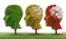 Yếu tố nguy cơ làm tăng mắc bệnh Alzheimer