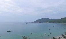 Tổng kiểm tra môi trường tại Vũng Áng