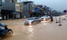 Quảng Ninh: 2 người thương vong do mưa lớn ở thành phố Hạ Long