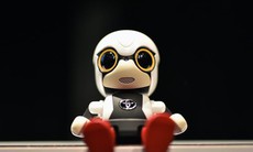 Nhật Bản phát minh robot em bé cho phụ nữ không con