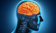 Đi bộ thường xuyên giúp tăng cường sức khỏe não