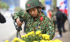 Công binh Việt Nam rà soát bom, mìn tại đường phố Hà Nội