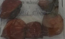 Đã  tìm ra nguyên nhân vụ ngộ độc do uống rượu ngâm quả lạ ở Khánh Hòa