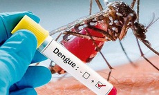Sốt xuất huyết Dengue ngày 6 có dấu hiệu cảnh báo sớm