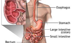 Phát hiện mới về ảnh hưởng của bệnh Crohn lên não