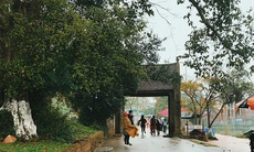 Làng cổ Đường Lâm, 15 năm bảo tồn và phát triển du lịch