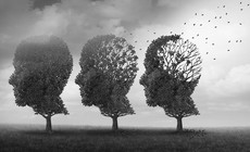 Vì sao mùa lạnh dễ bị suy giảm trí nhớ?