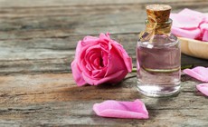 8 lợi &#237;ch của hoa hồng đối với sức khỏe v&#224; sắc đẹp