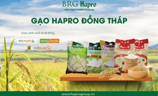 Gạo Hapro Đồng Th&#225;p – Tự h&#224;o thương hiệu Quốc gia
