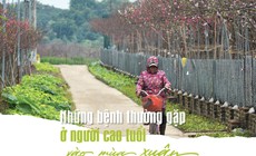 Những bệnh thường gặp ở người cao tuổi v&#224;o m&#249;a xu&#226;n