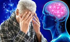 Giảm tr&#237; nhớ ở người gi&#224; như thế n&#224;o l&#224; b&#236;nh thường v&#224; đ&#225;ng lo ngại?
