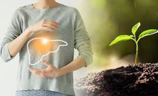 Dưỡng sinh trong tiết Xu&#226;n ph&#226;n để cả năm khỏe mạnh
