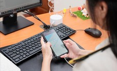 Tạm dừng c&#225;c hệ thống ứng dụng ng&#224;nh thuế từ ng&#224;y 11 - 12/10